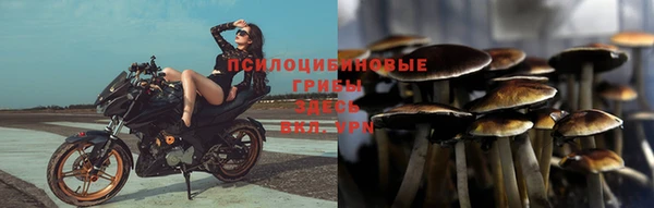 соль курить ск Надым