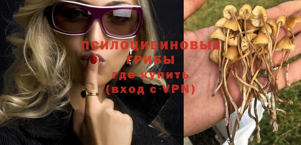 а пвп мука Наволоки