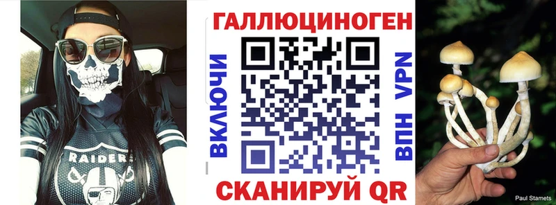 Галлюциногенные грибы Cubensis  Чайковский 
