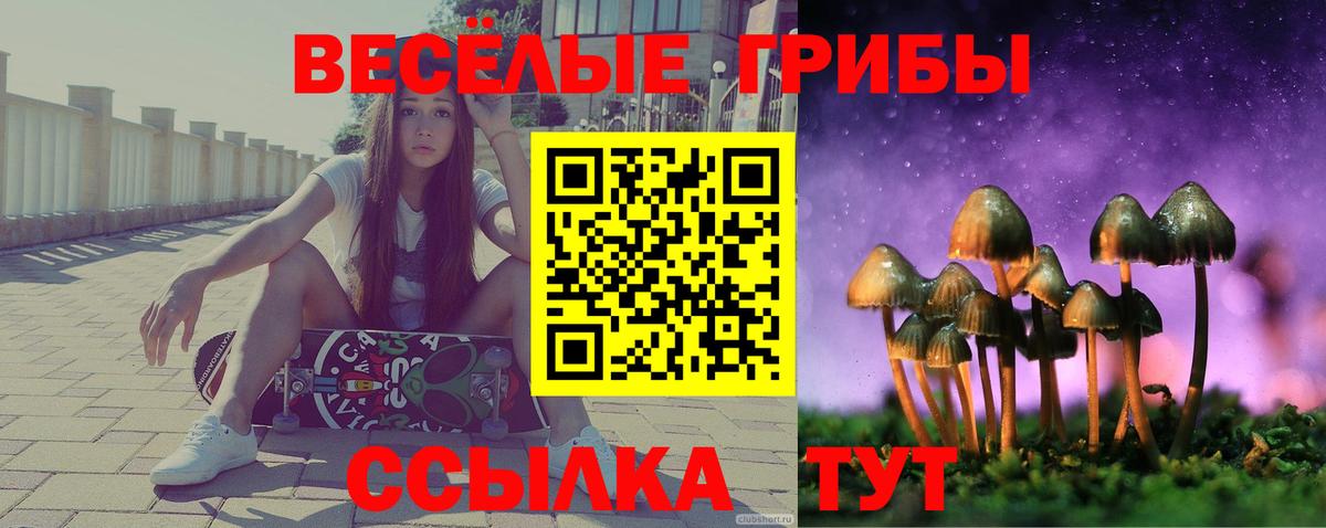 Галлюциногенные грибы Magic Shrooms  Чайковский  Псилоцибиновые грибы MAGIC MUSHROOMS 