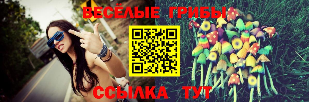где можно купить   Псилоцибиновые грибы Magic Shrooms  Вход с VPN  Чайковский 