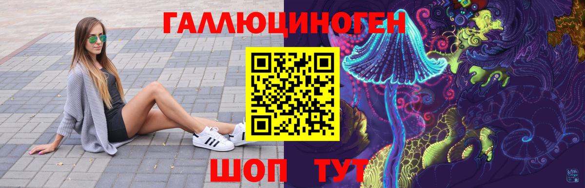 Галлюциногенные грибы Psilocybe Чайковский