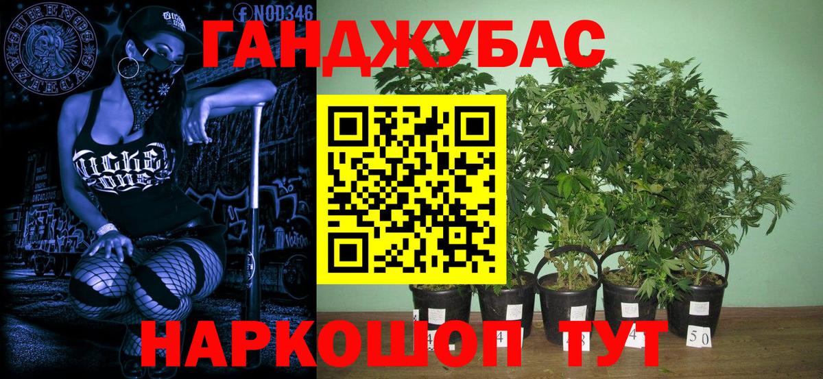 Бошки Шишки индика  Вход с VPN  Чайковский  Канабис MAZAR 